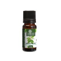 Huile Essentielle Petit Grain Bigarade, 10ml - Aroma Végétal