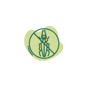 Anti insectes