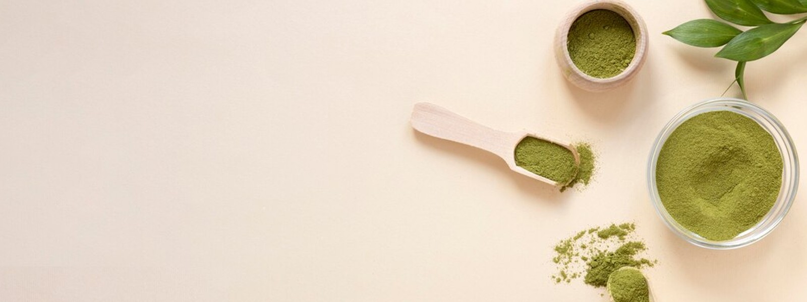 Moringa en poudre Bio